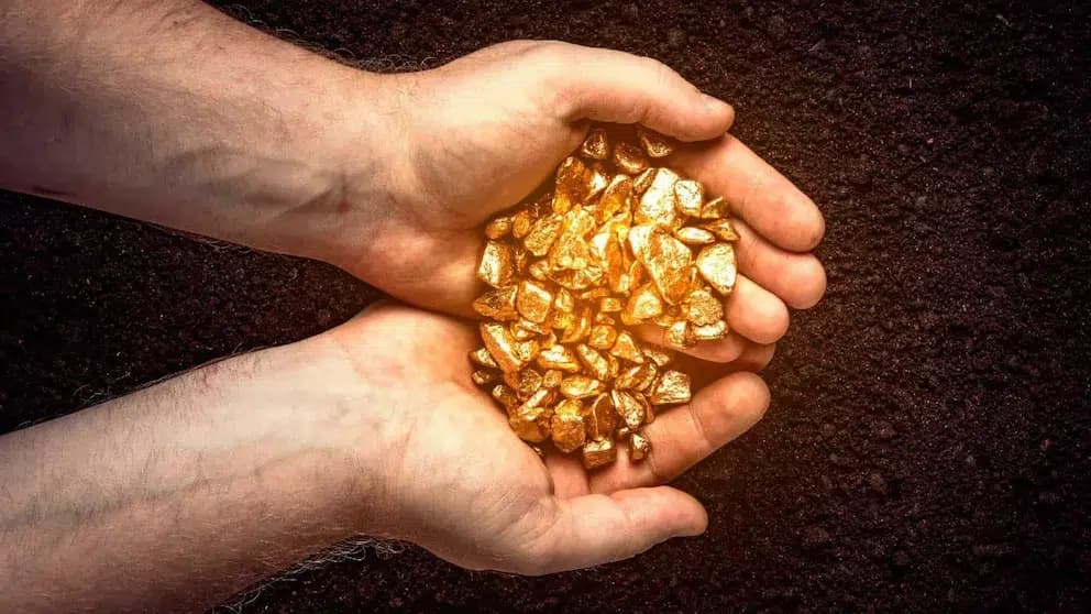 Exportación y Trazabilidad Minera 1